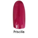 Perfect Nails Gel Priscilla 8g Thumbnail